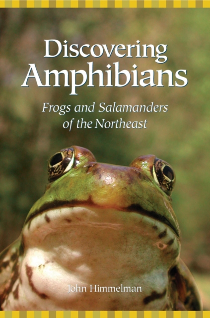 Book Cover for Discovering Amphibians by John Himmelman