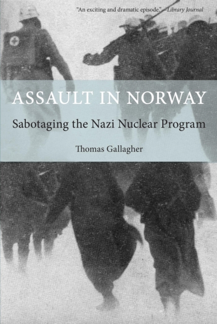 Book Cover for Assault in Norway by Thomas Gallagher