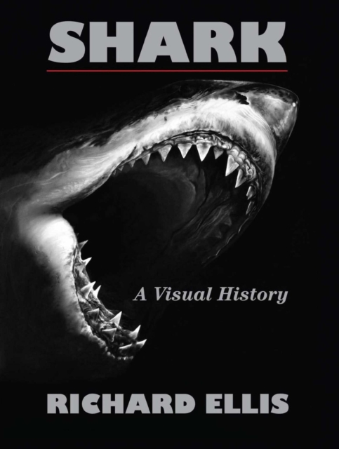 Book Cover for Shark by Richard Ellis