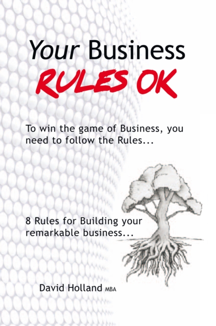 Book Cover for Your Business Rules Ok by David Holland