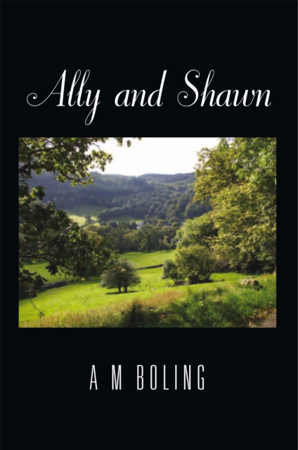 Book Cover for Ally and Shawn by A M Boling