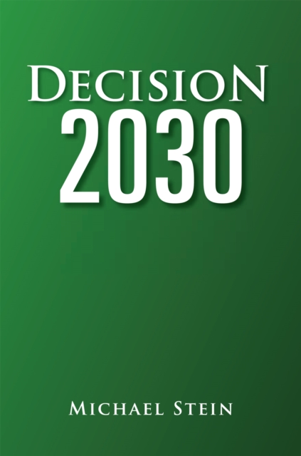 Book Cover for Decision 2030 by Michael Stein