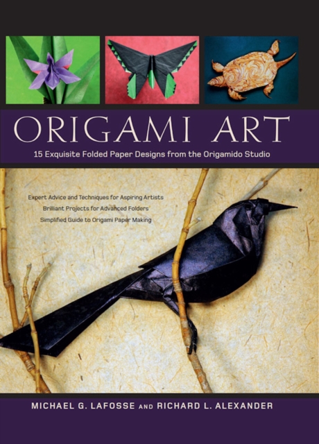 Book Cover for Origami Art by Michael G. Lafosse, Richard L. Alexander