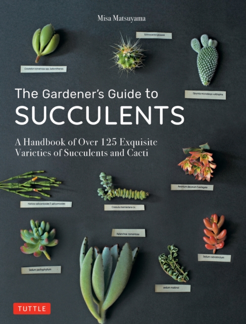 Book Cover for Gardener's Guide to Succulents by Misa Matsuyama