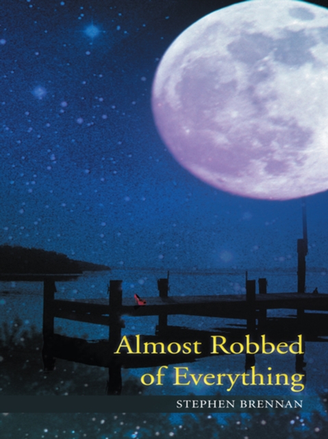 Book Cover for Almost Robbed of Everything by Stephen Brennan