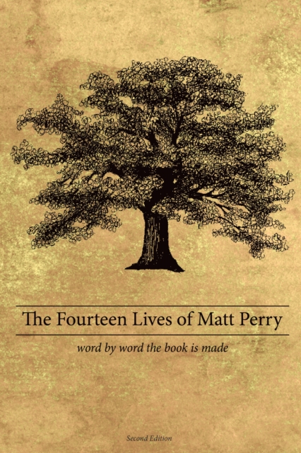 Book Cover for Fourteen Lives of Matt Perry by Matthew Perry