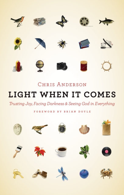 Book Cover for Light When It Comes by Chris Anderson