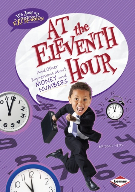 Book Cover for At the Eleventh Hour by Heos, Bridget