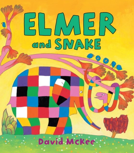 Book Cover for Elmer and Snake by David McKee