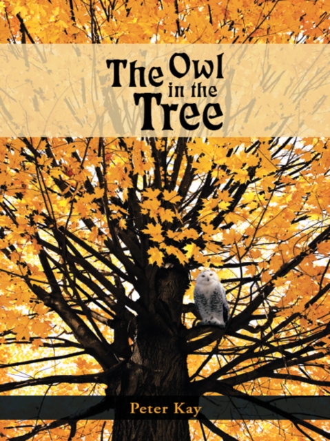 Book Cover for Owl in the Tree by Kay, Peter