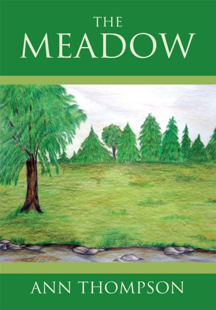 Book Cover for Meadow by Ann Thompson