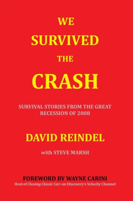 Book Cover for We Survived the Crash by Marsh, Steve