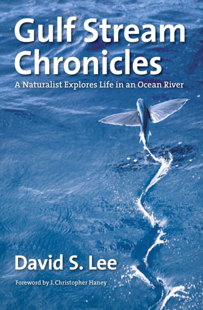 Book Cover for Gulf Stream Chronicles by Lee, David S.