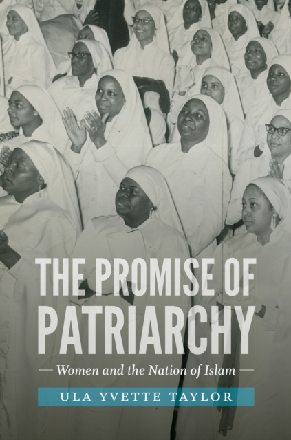 Book Cover for Promise of Patriarchy by Ula Yvette Taylor