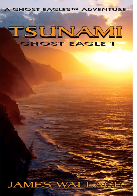 Book Cover for Tsunami by Wallace, James