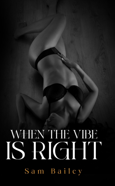 Book Cover for When the Vibe Is Right by Bailey Sam Bailey