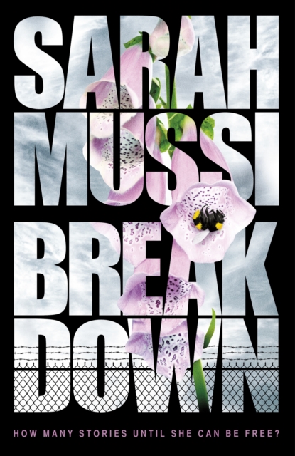 Book Cover for Breakdown by Mussi, Sarah