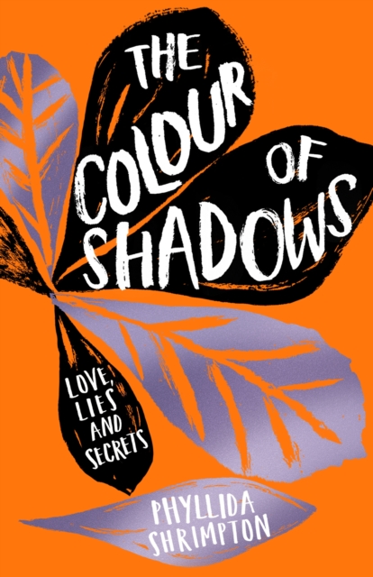 Book Cover for Colour of Shadows by Phyllida Shrimpton