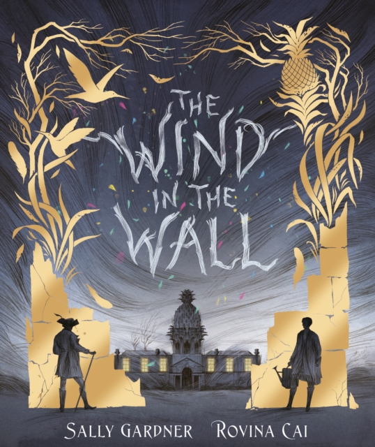 Book Cover for Wind in the Wall by Sally Gardner