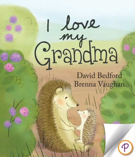 Book Cover for I Love My Grandma by Bedford, David