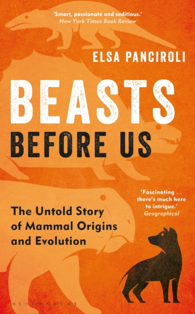 Book Cover for Beasts Before Us by Panciroli Elsa Panciroli