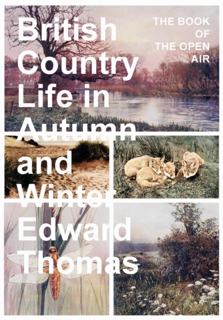 Book Cover for British Country Life in Autumn and Winter by Edward Thomas