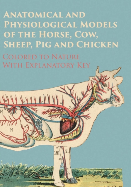 Book Cover for Anatomical and Physiological Models of the Horse, Cow, Sheep, Pig and Chicken - Colored to Nature - With Explanatory Key by Anon