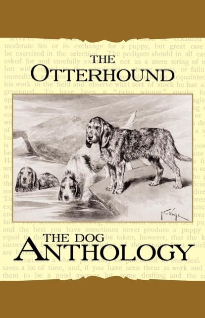 Book Cover for Otterhound - A Dog Anthology (A Vintage Dog Books Breed Classic) by Various