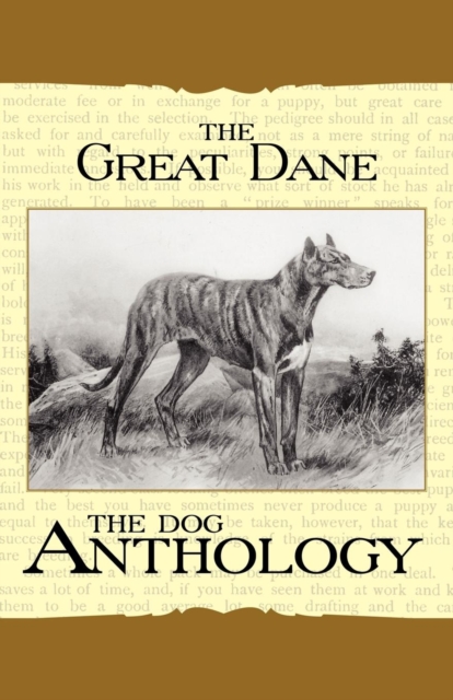 Book Cover for Great Dane - A Dog Anthology (A Vintage Dog Books Breed Classic) by Various