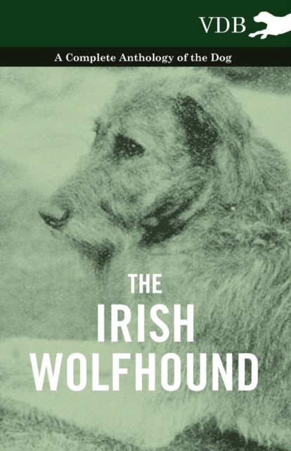 Book Cover for Irish Wolfhound - A Complete Anthology of the Dog by Various