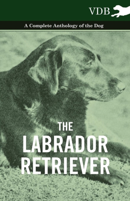 Book Cover for Labrador Retriever - A Complete Anthology of the Dog by Various