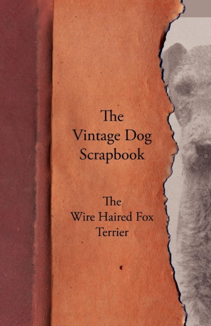 Book Cover for Vintage Dog Scrapbook - The Wire Haired Fox Terrier by Various