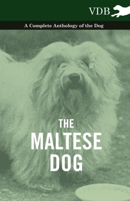 Book Cover for Maltese Dog - A Complete Anthology of the Dog by Various