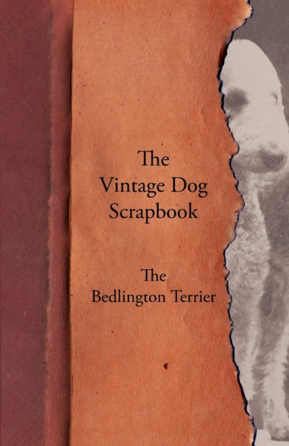 Book Cover for Vintage Dog Scrapbook - The Bedlington Terrier by Various