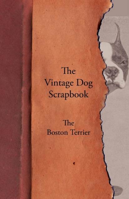 Book Cover for Vintage Dog Scrapbook - The Boston Terrier by Various