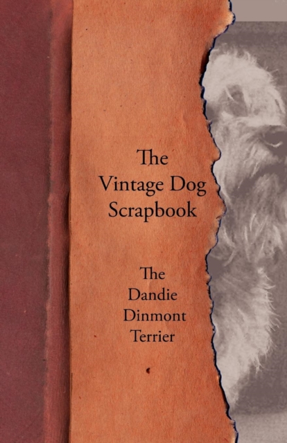 Book Cover for Vintage Dog Scrapbook - The Dandie Dinmont Terrier by Various