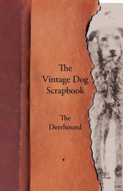 Book Cover for Vintage Dog Scrapbook - The Deerhound by Various