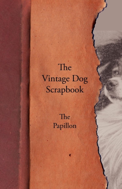 Book Cover for Vintage Dog Scrapbook - The Papillon by Various