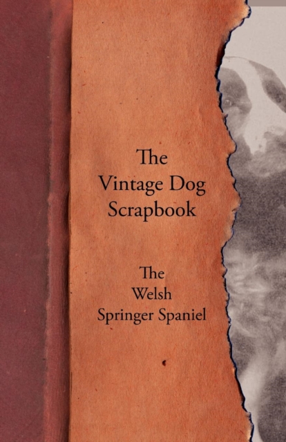 Book Cover for Vintage Dog Scrapbook - The Welsh Springer Spaniel by Various