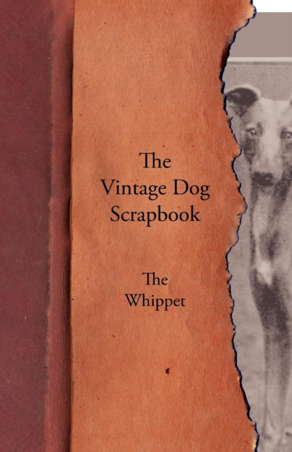 Book Cover for Vintage Dog Scrapbook - The Whippet by Various