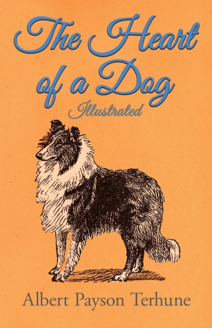 Book Cover for Heart of a Dog - Illustrated by Albert Payson Terhune