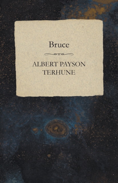 Book Cover for Bruce by Albert Payson Terhune