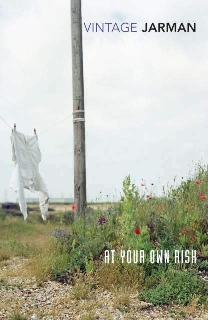 Book Cover for At Your Own Risk by Derek Jarman
