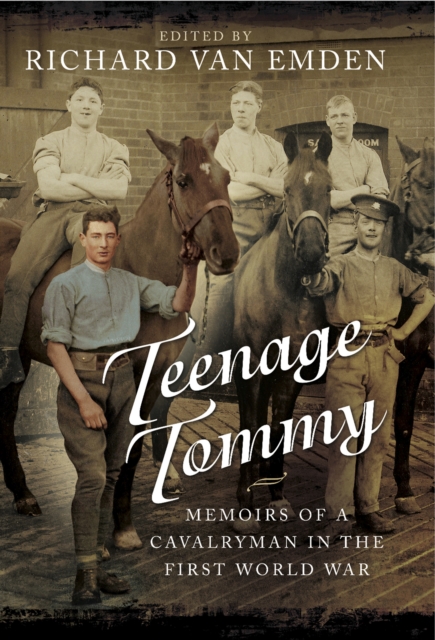 Book Cover for Teenage Tommy by Richard van Emden