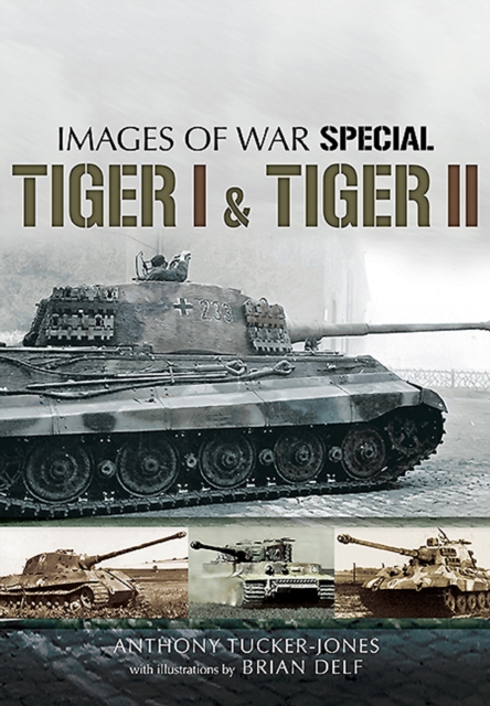 Book Cover for Tiger I & Tiger II by Anthony Tucker-Jones