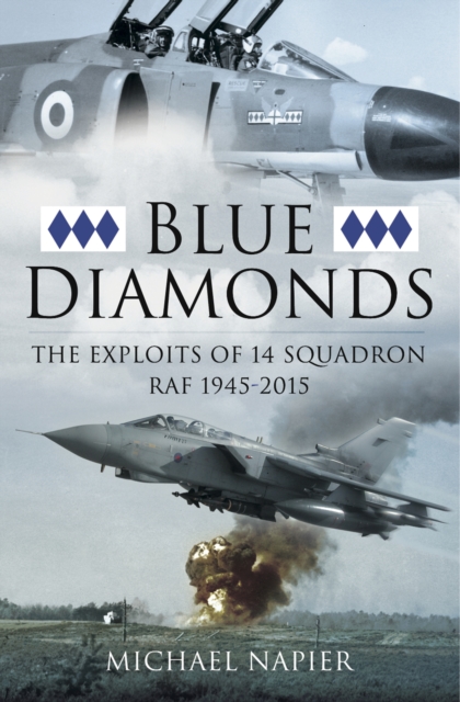 Book Cover for Blue Diamonds by Michael Napier