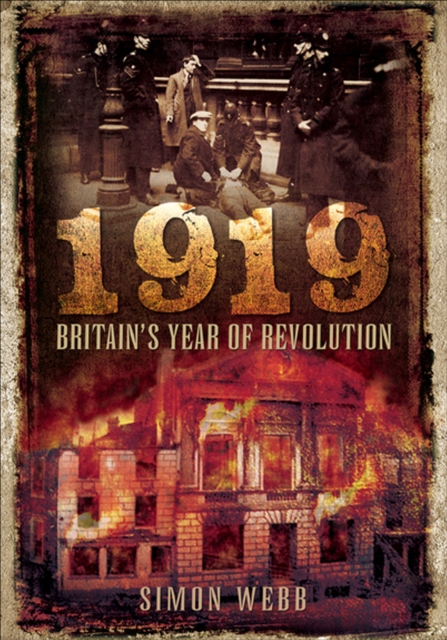 Book Cover for 1919 by Simon Webb