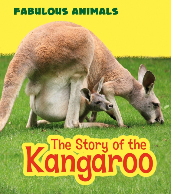 Book Cover for Story of the Kangaroo by Ganeri, Anita