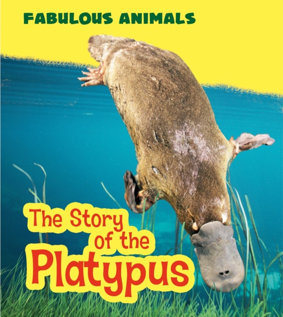 Book Cover for Story of the Platypus by Anita Ganeri