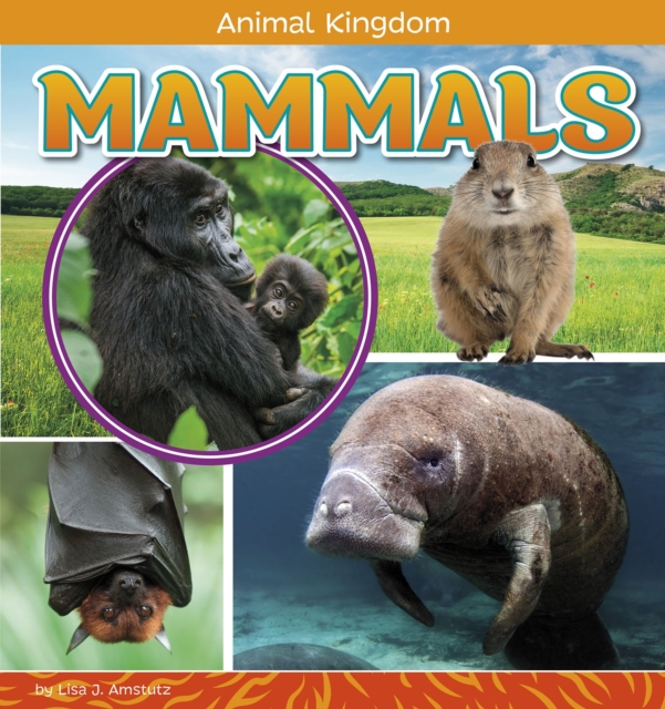 Book Cover for Mammals by Amstutz, Lisa J.